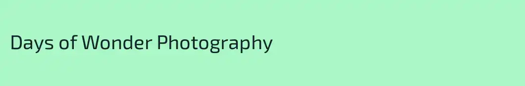Days of Wonder Photography